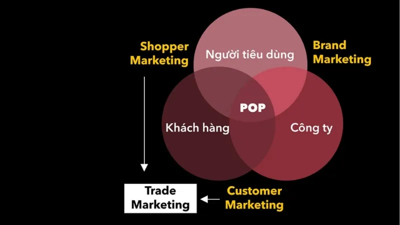 Phân biệt Customer và Consumer